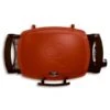 Q1200 RED GrillTable 1 Q1200 RED GrillTable -Weber Buy20Supply20Inc20dba20Linq20USA20Corp bus211213trvxx642ac6