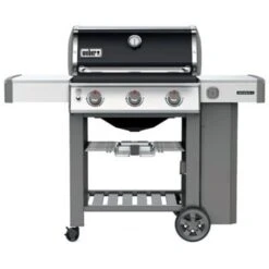 GenII E310 BLK LP Grill